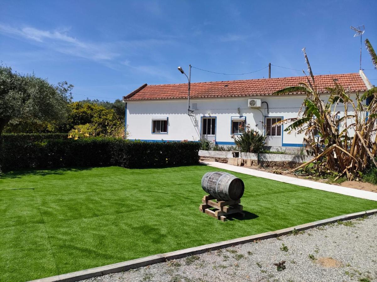Monte Da Vinha Nova Villa Santiago do Cacém Eksteriør billede